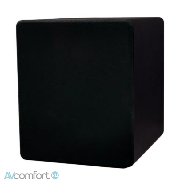 Tone Winner SW-D4000