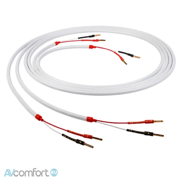 Chord Company C-screen bulk