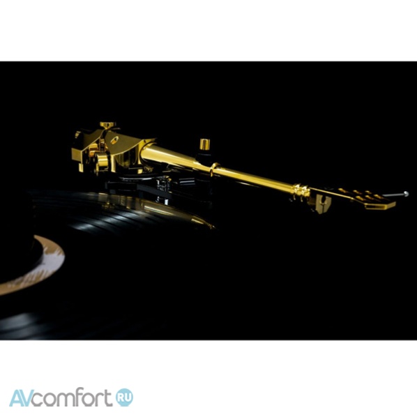 Transrotor TRA 9 Black Gold