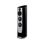 PARADIGM Persona 3F Vanta High Gloss Black