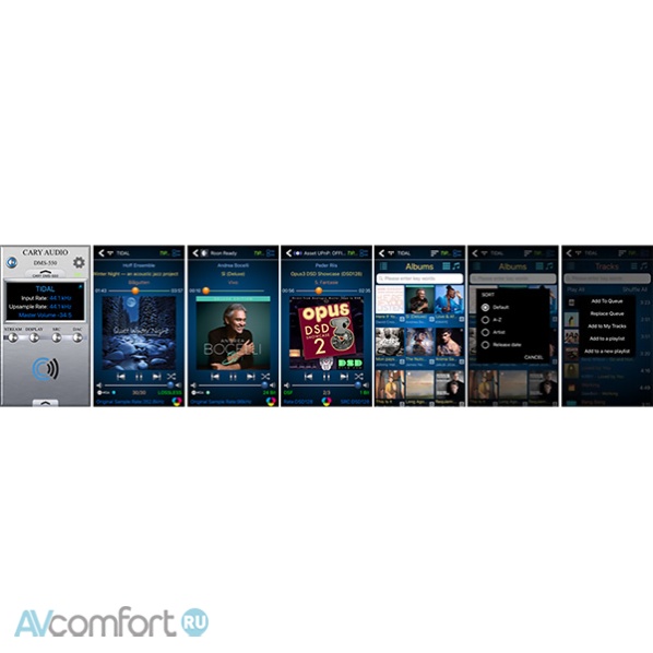 Cary Audio DMS-550 Silver