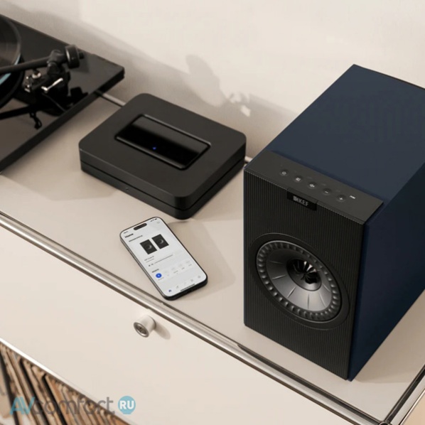KEF Coda W Midnight Blue