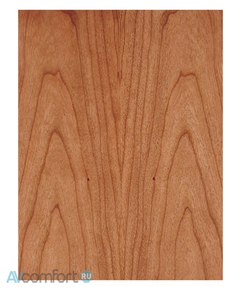 Audio Physic Step 25 Cherry