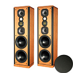 Legacy Audio Focus HD Black Pearl