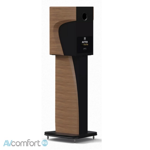 MOREL Avyra 622 Wenge
