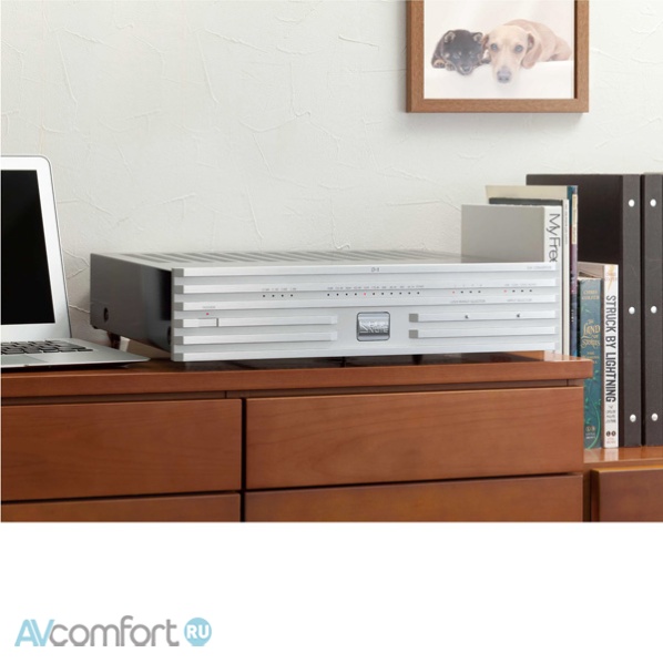 Soulnote D-1N Platinum Silver