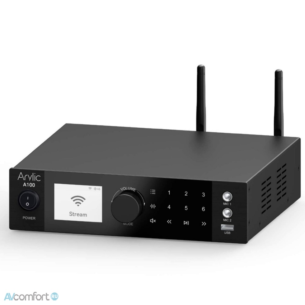 Arylic A100