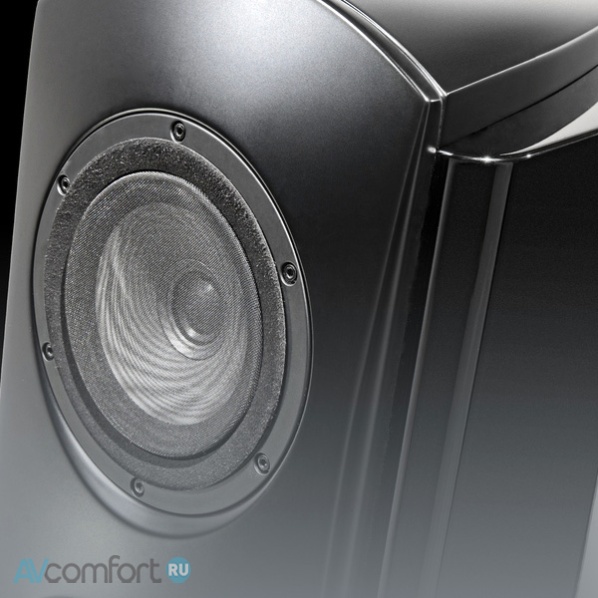 TAD Evolution One Piano Black