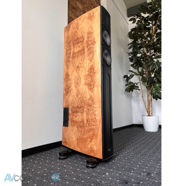 Raidho Acoustics X2T Maple Burl