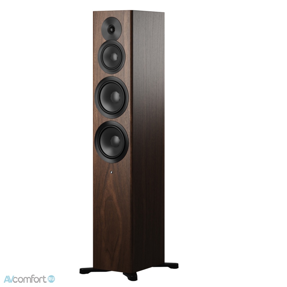 Dynaudio Focus 50 Walnut Wood