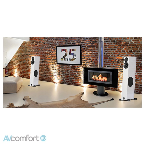 Audio Physic Tempo 25 Plus Macassar Ebony