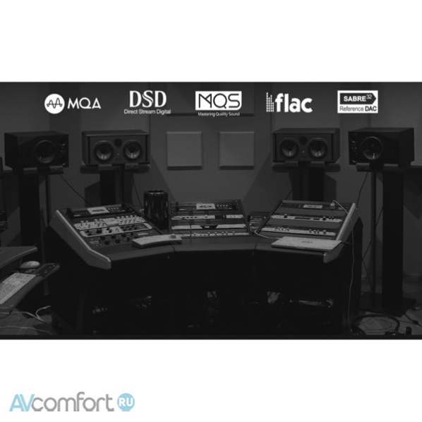 HiFi Rose RS201E Silver