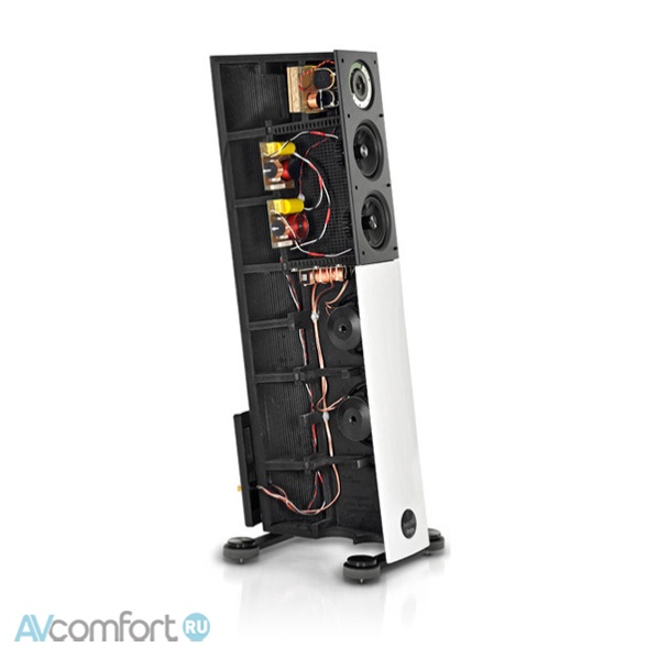 Audio Physic Avantera Walnut