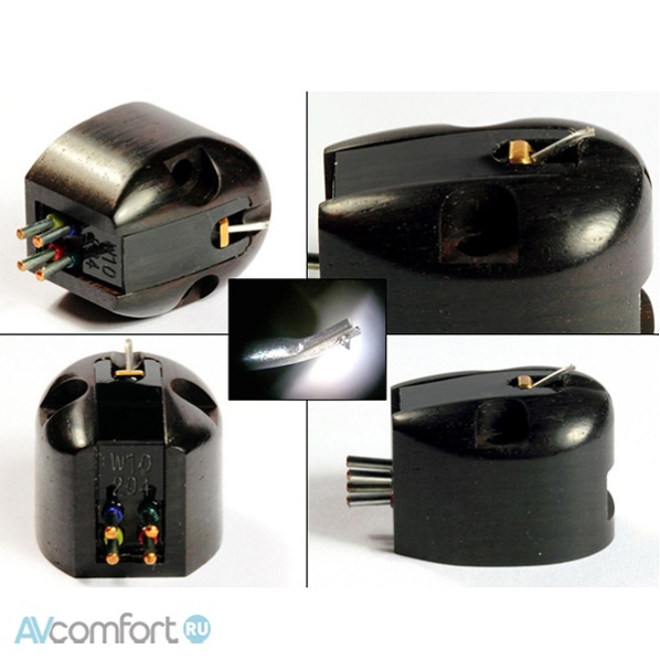 Miyajima Laboratory Shilabe Miyajima Laboratory Shilabe