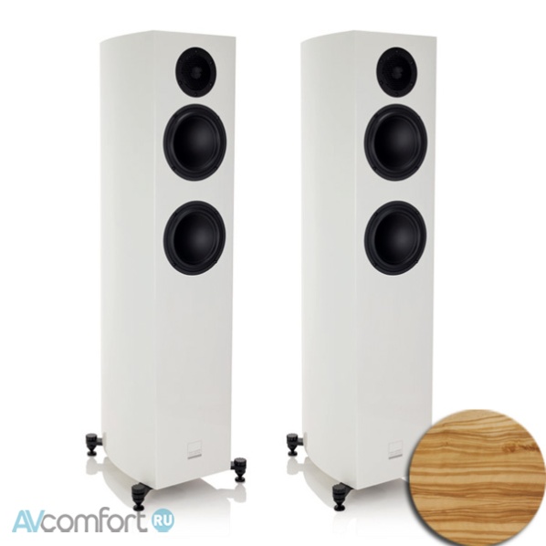 AVComfort, Gauder Akustik Capello 80 AL Olive