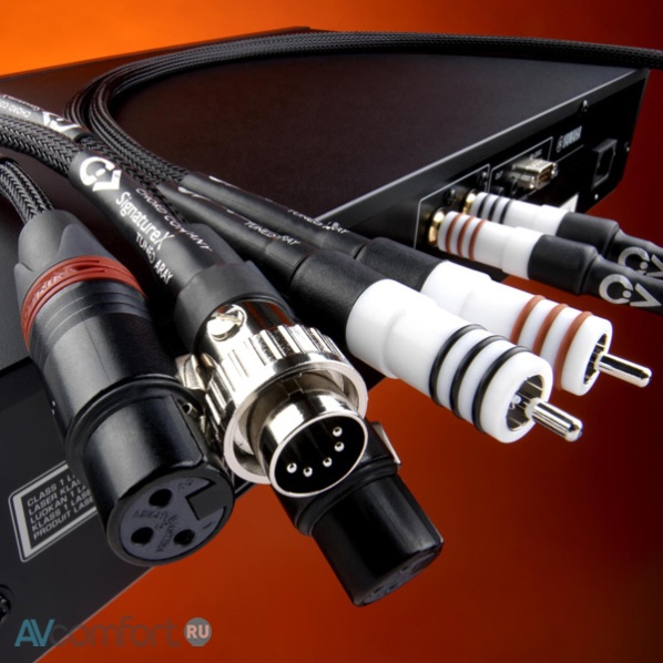 Chord Company Signature X Tuned ARAY 1RCA Sub 2.0 m