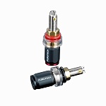 Furutech FP-803 (R)