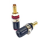Furutech FP-803 (G)