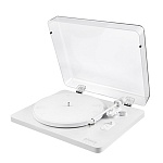 Phaze Audio Diana Siberian White