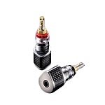 Furutech FT-818 (R)