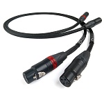 Chord Company Signature X Tuned ARAY XLR 1.5 m