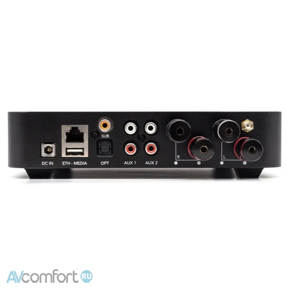 Octavio Amp 100 W