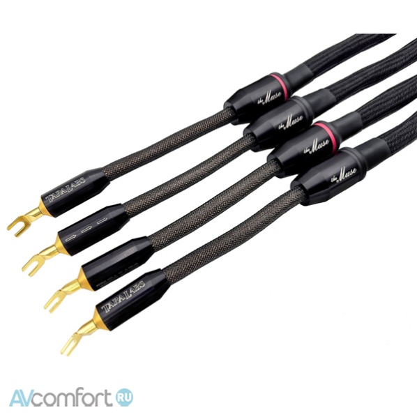 AVComfort, TARA Labs The Muse w/BSM 2,4 m