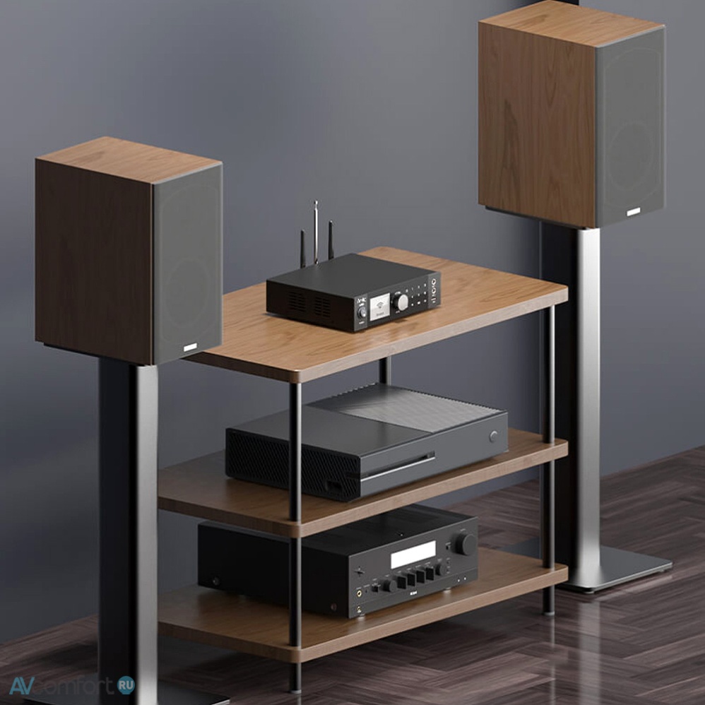 Arylic A100