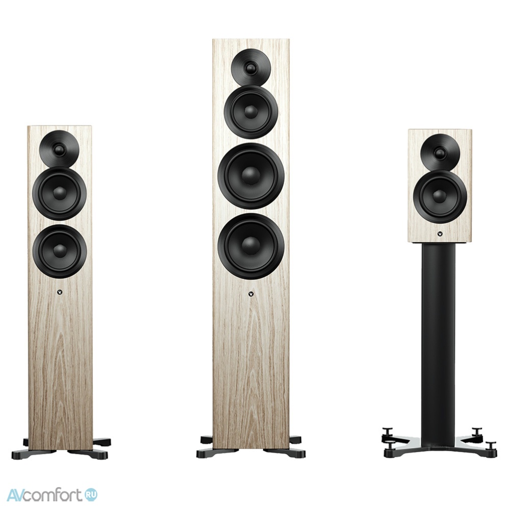 Dynaudio Focus 50 Blonde Wood