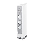 Paradigm Persona 5F Harmony Gloss White