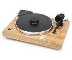 PRO-JECT X-tension-9 Evolution SP (Quintet Black) Olive