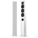 Piega TMicro 60 AMT W