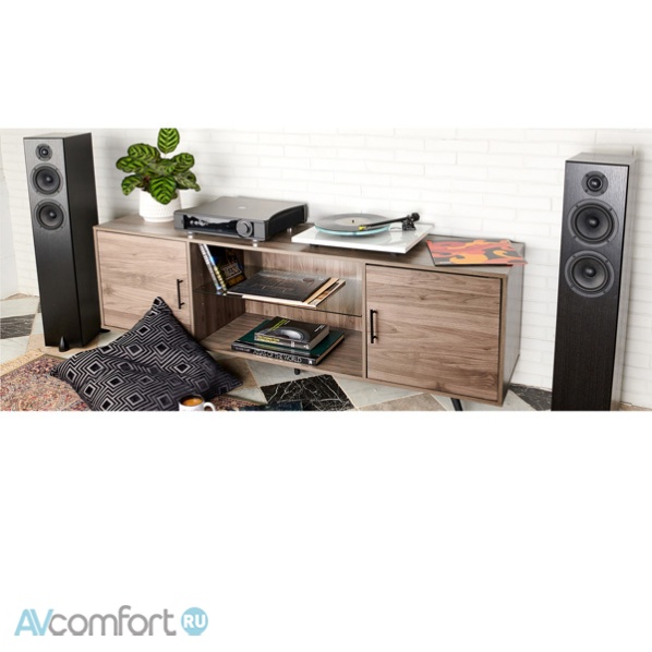 TOTEM ACOUSTIC Bison Twin Tower Black Ash