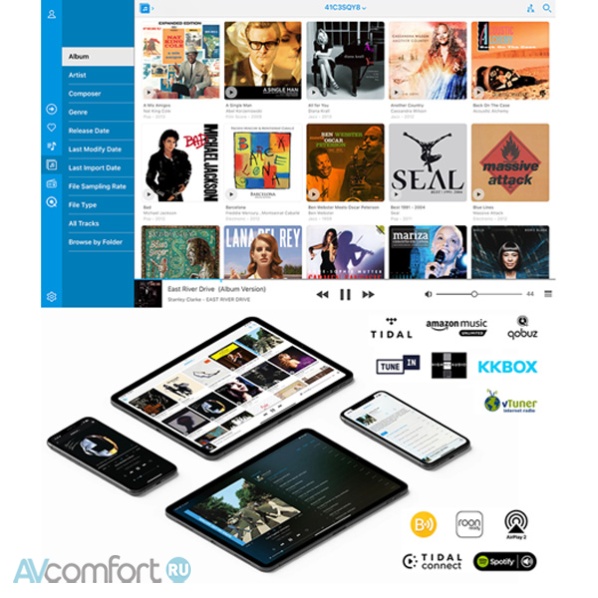 AURALiC Aries S1 Black AURALiC Aries S1 Black