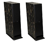 Davis Acoustics MV One Master Ebony Black