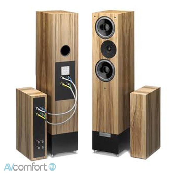 Living Voice OBX-RW4 Santos Rosewood