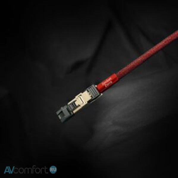 AVComfort, ZenSati Zorro Digital Ethernet 2,5 м