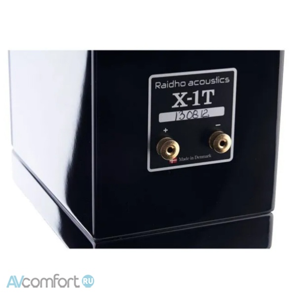 Raidho Acoustics X1T Black