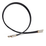 Shunyata Research Gamma RCA 1,0 m