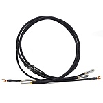 Shunyata Research Delta v2 RCA Phonno, 1,0 m