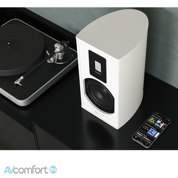 Piega Premium 301 Wireless Gen 2 AB