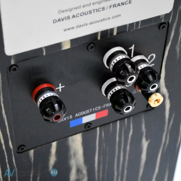 Davis Acoustics MV One Master Ebony Black