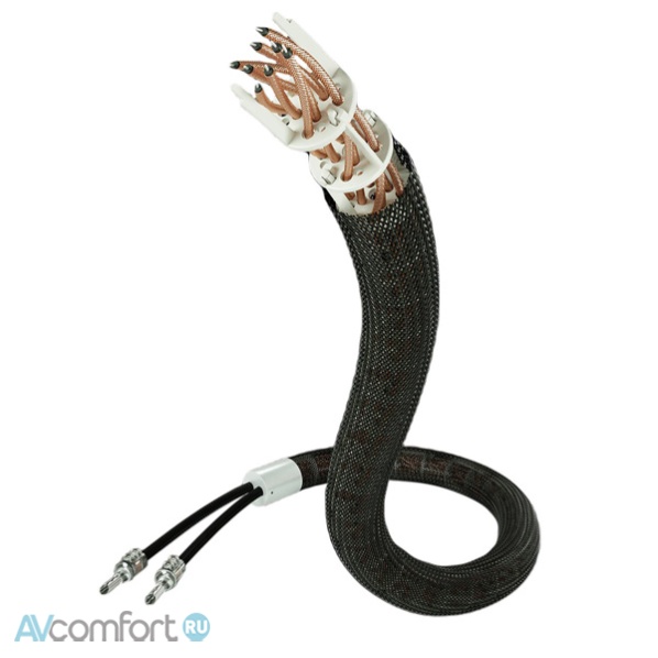AVComfort, INAKUSTIK Referenz LS-2404 AIR MKII, 2x2.5 m, Tellurium BFA Banana