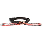 Black Rhodium Duet DCT ++ Crystal Sound Single 3,0 m