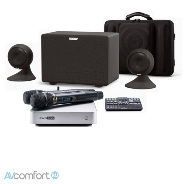 AVComfort, EVOLUTION Evobox Plus со стереосистемой Silver