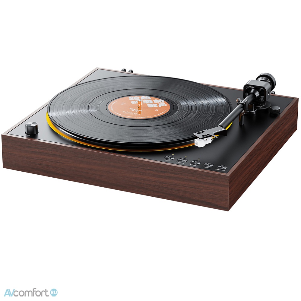 FiiO TT11 (F6001T) Brown