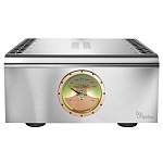 Dan D’Agostino Progression M550 Mono Amplifier Silver