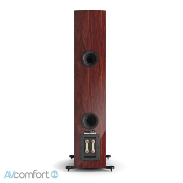 DALI Rubikore 6 Maroon High Gloss