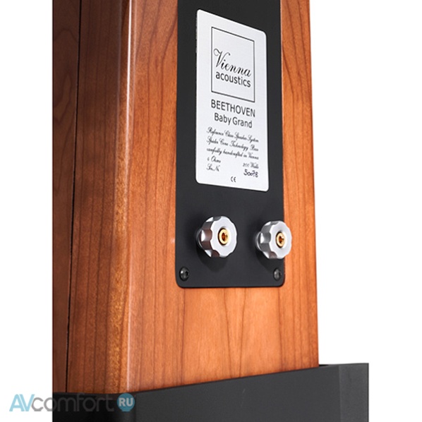 Vienna Acoustics Beethoven Baby Grand Symphony Edition Cherry