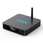 FiiO SR11 (F3081S) Black